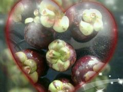 -上海龙吴水胜海发市场