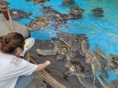 -海合安成都极地海洋公园