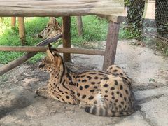 -杭州野生动物世界