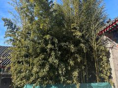 -红螺寺