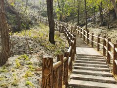 -白水寺森林公园