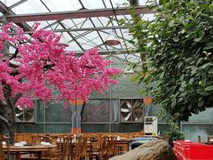 -老磨油饼(高陵店)