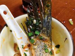 -全乐鱼馆·淳牌有机鱼直营店