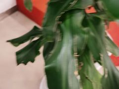-鼎好家常菜(天桥店)