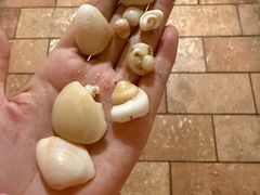 -三亚亚龙湾红树林度假酒店