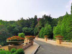 -云溪植物园
