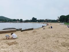 -上海月湖雕塑公园