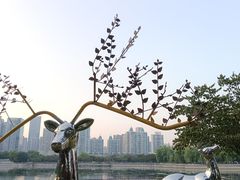 -西北湖绿化广场