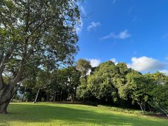 -中国科学院西双版纳热带植物园