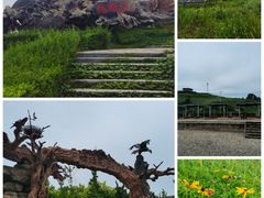 -大连蚂蚁岛度假区