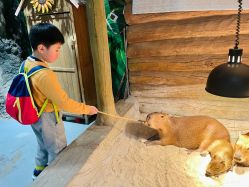 -Zoolung Zoolung动物主题公园(海信广场店)