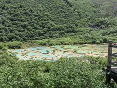 -黄龙山原始森林景区