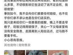 -龙猫仔乐园(惠福东路店)