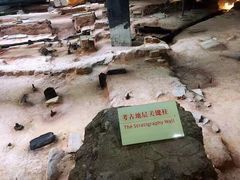 -南越王博物院(王宫展区)