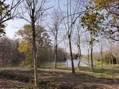 -上海海湾国家森林公园