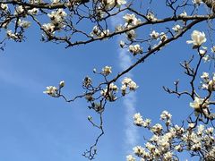 -杭州植物园