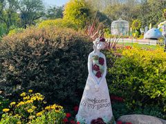 -上海共青森林公园