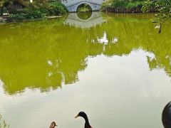 -宣武艺园