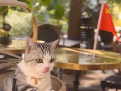 -The place那儿(新城国际店)