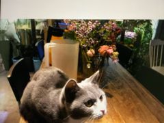 -花十悦·鲜花咖啡餐厅(振业城一期店)