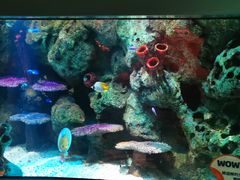 -沈阳海洋探索中心