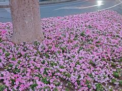 -玲又珑美食(盘福路店)
