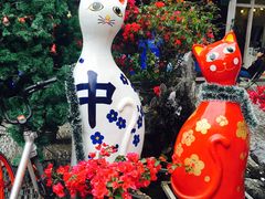 -猫咪博物馆(顶澳仔猫街店)