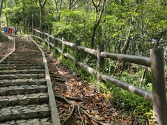 -上海佘山国家森林公园天马山园