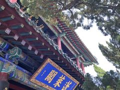 -蓬莱阁景区