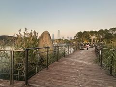 -金鸡湖桃花岛