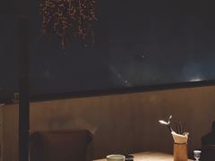 -毛辣果·酸