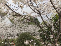 -南山植物园