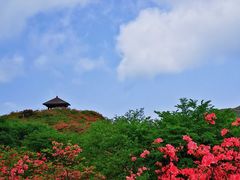-大围山国家森林公园