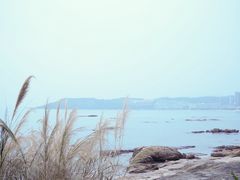 -碧桂园十里银滩