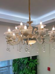 -苗医生草本科技祛痘