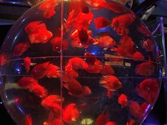 -海合安青岛极地海洋公园