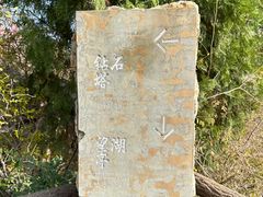-府君山公园