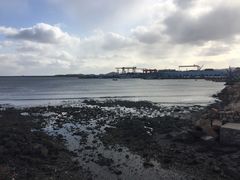-烟墩角天鹅湖