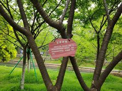 -南溪山景区