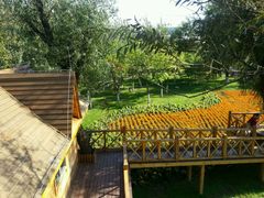 -武清南湖绿博园