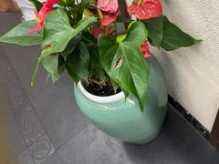 -名善山珍·野生菌汤锅(文殊院店)