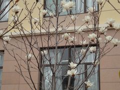 -中国海洋大学（崂山校区）-游泳馆