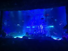 -沈阳海洋探索中心