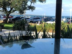 -Takapuna Beach Cafe