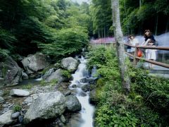 -藏龙百瀑风景区