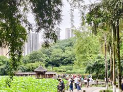 -龙头寺公园