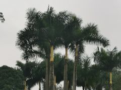 -南宁市动物园