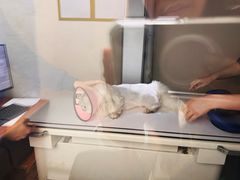 -联合动物医院(光谷诊疗中心)
