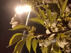 -青岛汇泉商业广场