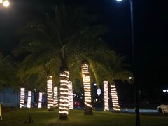 -野狸岛